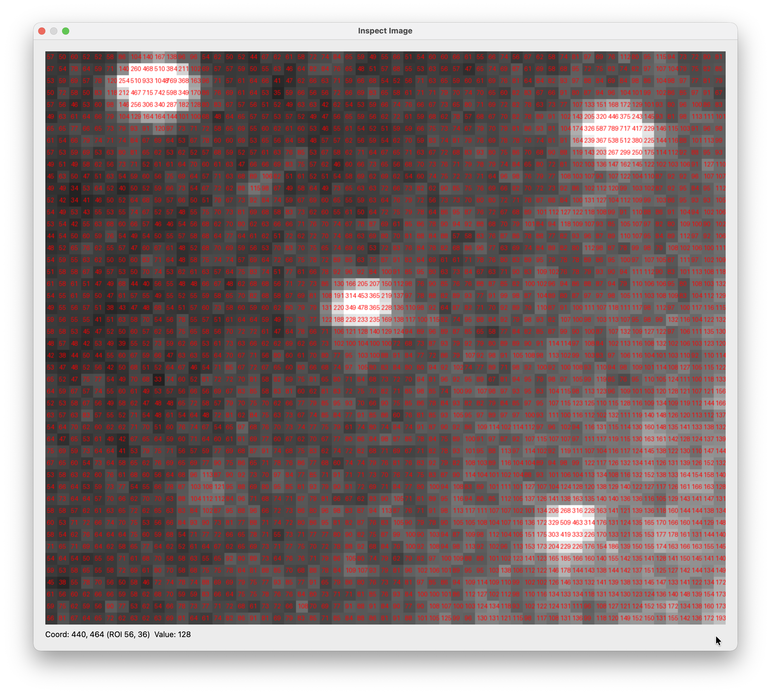 Inspect Image popup showing magnified pixel values